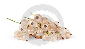 White currant on a white background photo