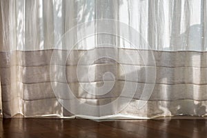 White curtain with morning light. Transparent curtain on window. Curtain background