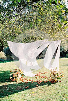 White curtains flutter over apples and flower bouquets in the garden