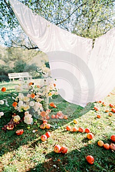 White curtains in the garden flutter over bouquets of flowers and fruits lying on the grass