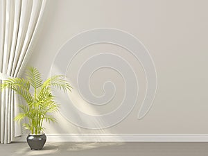 White curtains with plant