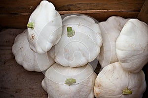 White custard marrows in a wooden box