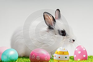 White, cute rabbit and Easter eggs. A hare on a green meadow. Easter background with copy space. Art little easter bunny and