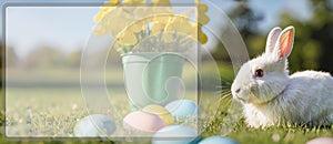 White, cute rabbit and Easter eggs. Panorama. A hare on a green meadow. Easter background with copy space. Art little easter bunny