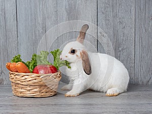 White cute rabbit eating green lettuce carrot and apple in the wooden basket.