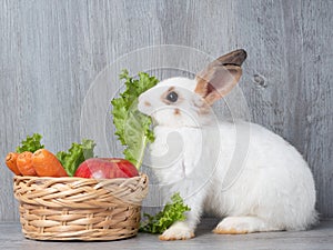 White cute rabbit eating green lettuce carrot and apple in the wooden basket and wooden gray background.