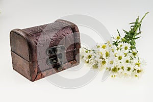 White cutter flower with vintage box.White Background.Top area f