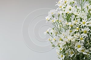 White cutter flower on white