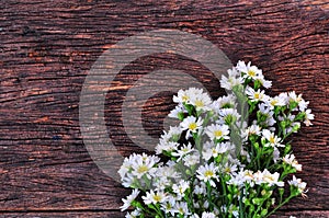 white cutter flowers on copy space on wooden background