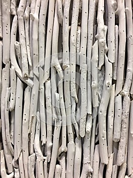 An white cutting branches background and textures