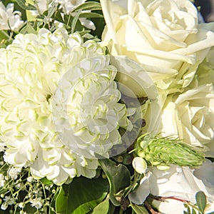 White Dahlia and Roses