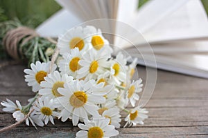 White daisies bouquet on a wooden table on a blurred open book background. Dreamy summer outdoor still life