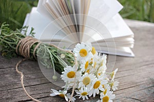 White daisies bouquet on a wooden table on a blurred open book background. Dreamy summer outdoor still life