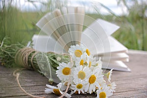 White daisies bouquet on a wooden table on a blurred open book background. Dreamy summer outdoor still life