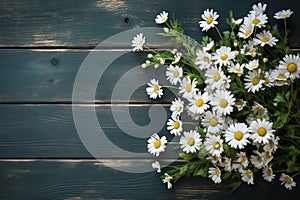 white daisies flowers frame on shabby painted wooden background top view, beautiful floral template with copy space