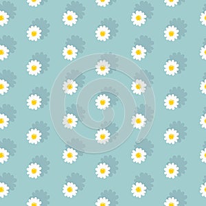 White daisies seamless pattern
