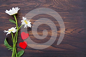 White daisies and two red hearts on brown wooden background.