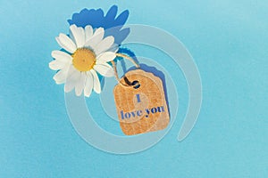 White Daisy on a blue background with a tag. Concept of summer sales, summer purchases