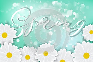 White daisy chamomile flowers on blue sunny sky background with bokeh vector illustration