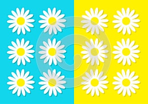 White daisy chamomile icon set. Cute flower plant collection. Love card. Camomile Growing concept. Flat design. Bright blue yellow