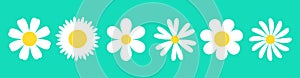 White daisy chamomile set. Camomile icon line banner. Cute round flower head plant nature collection. Decoration element. Love