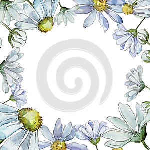 White daisy. Floral botanical flower. Frame border ornament square.