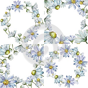 White daisy. Floral botanical flower. Frame border ornament square.