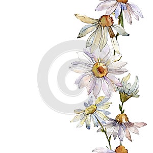 White daisy floral botanical flower. Watercolor background illustration set. Seamless background pattern.