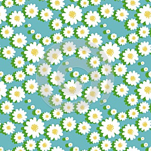 White daisy floral seamless pattern