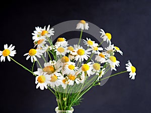 White daisy flower bouquet on black background