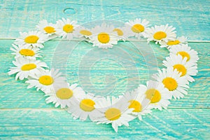 White daisy flower in heart shaped