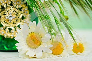 White daisy flower in vase