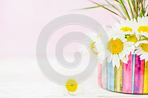 White daisy  flower in vase  and grass