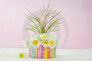 White daisy  flower in vase  and grass