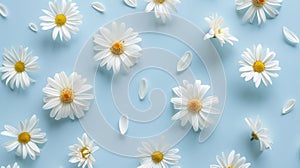The White Daisy Flowers.AI generated image
