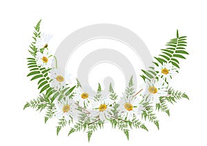 White daisy flowers with fern for frame or background vector