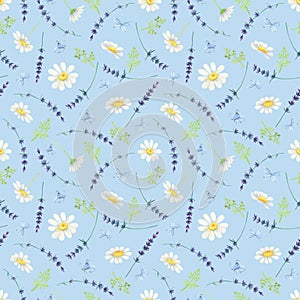 White daisy, lavender seamless pattern.