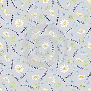 White daisy, lavender seamless pattern.