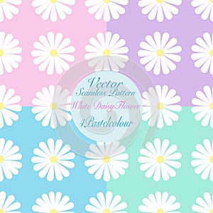 White daisy petal flower blossom vector seamless pattern, set of abstract flora illustration drawing on green blue pink violet bac