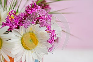 White daisy and pink flower in vase  and grass