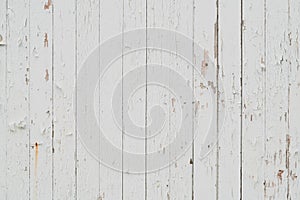 White damaged wood wall texture