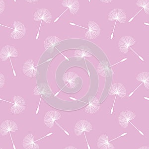 white dandelions seed floral fluff pattern on a light pink background seamless vector