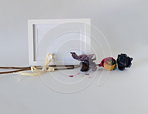 White decorative frame and dried roses in multiple colors on a white background