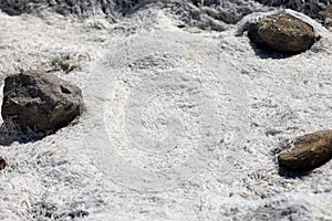 White deposits on the coast in Bretagne Brittany