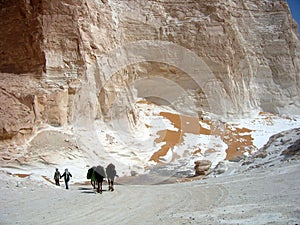 White desert