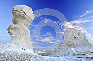 White desert