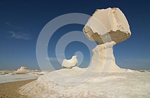 In the white desert