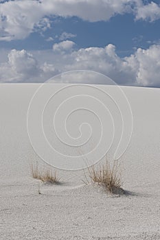 White desert and cloudscape