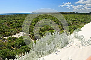 White Desert,Nambung National Park,South Western photo