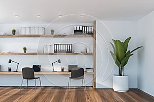 White designer office with plant